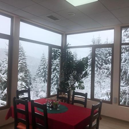 Genco Hotel Mountain View Predeál Kültér fotó