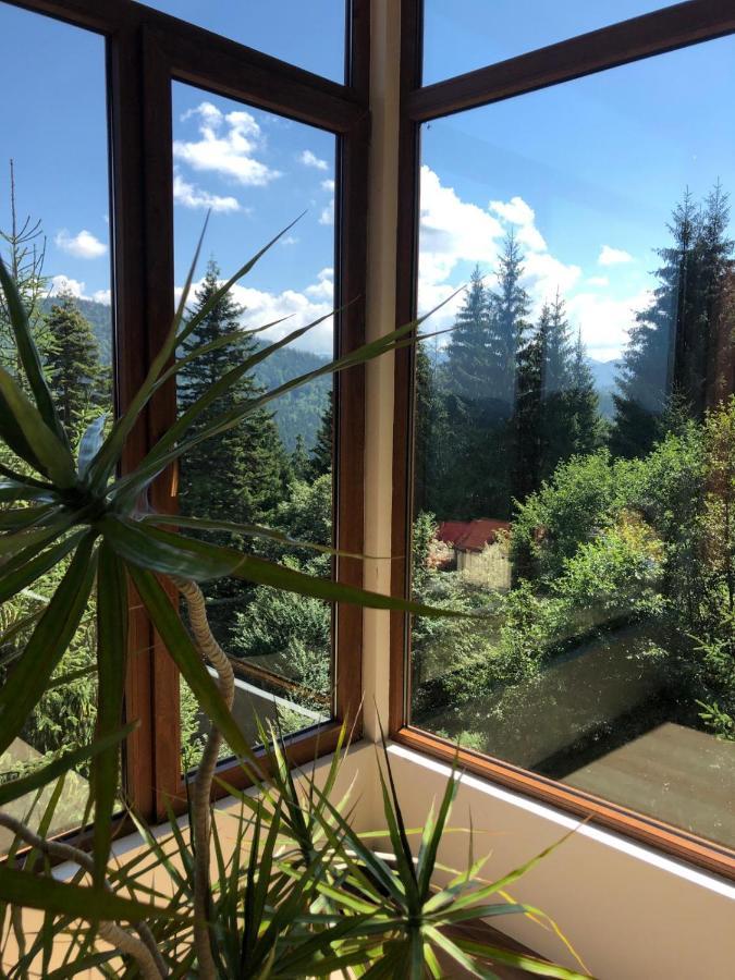 Genco Hotel Mountain View Predeál Kültér fotó