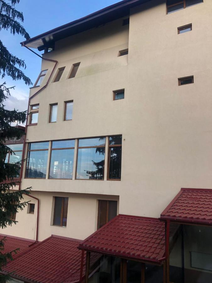 Genco Hotel Mountain View Predeál Kültér fotó