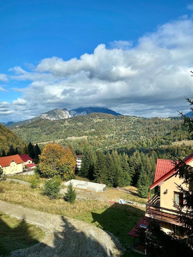 Genco Hotel Mountain View Predeál Kültér fotó