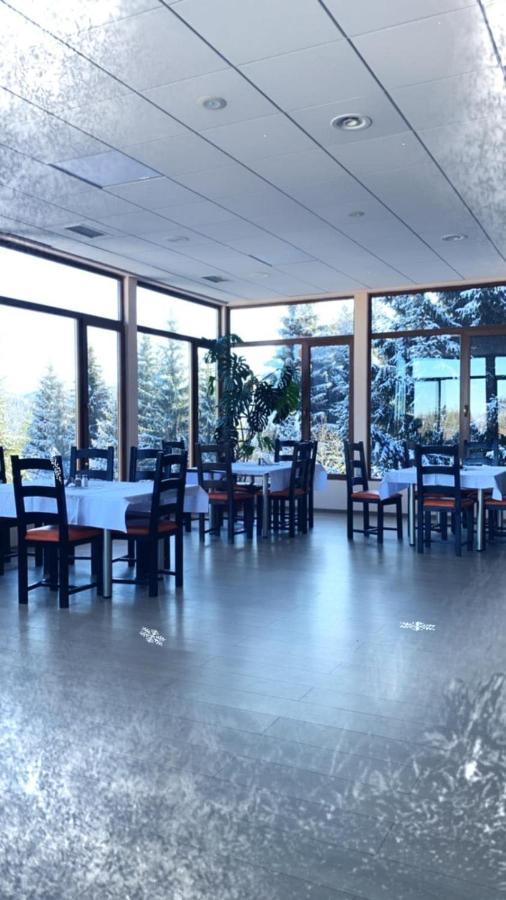Genco Hotel Mountain View Predeál Kültér fotó