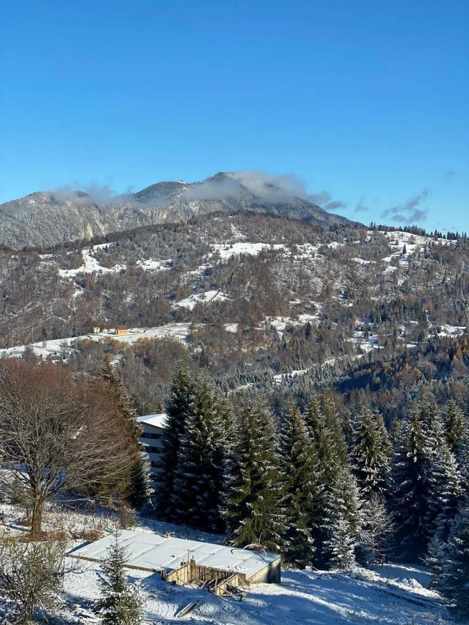 Genco Hotel Mountain View Predeál Kültér fotó
